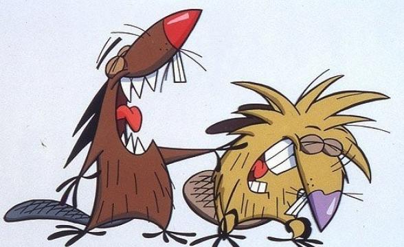 Из будней стоматолога: зубы у бобра или встреча одноклассников